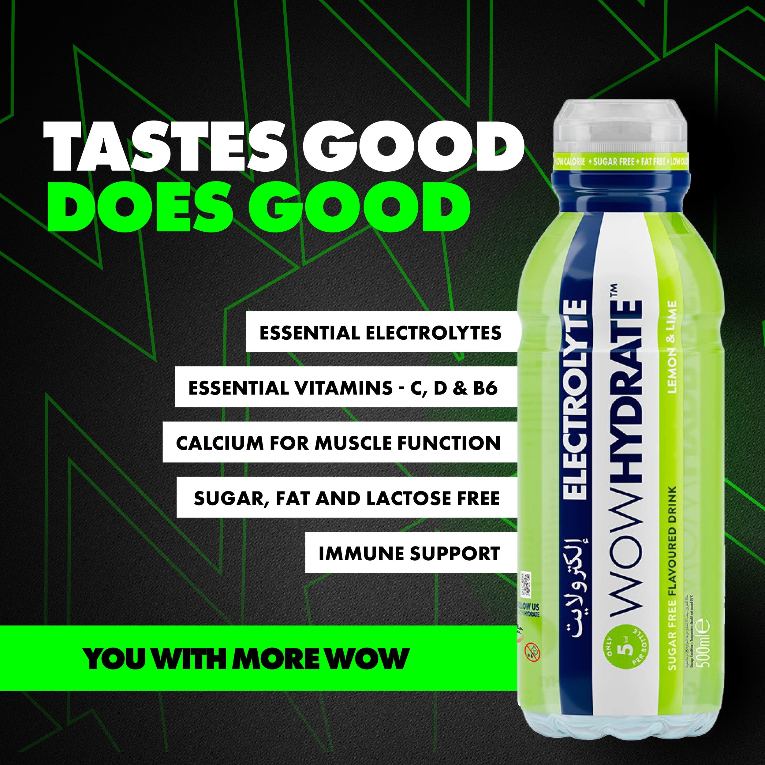 ELECTROLYTE - LEMON & LIME (12 x 500ml)
